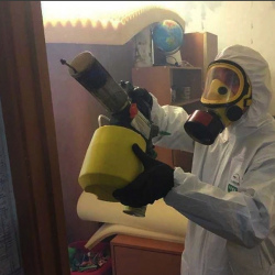 Уничтожение клопов в квартире. Нерюнгри